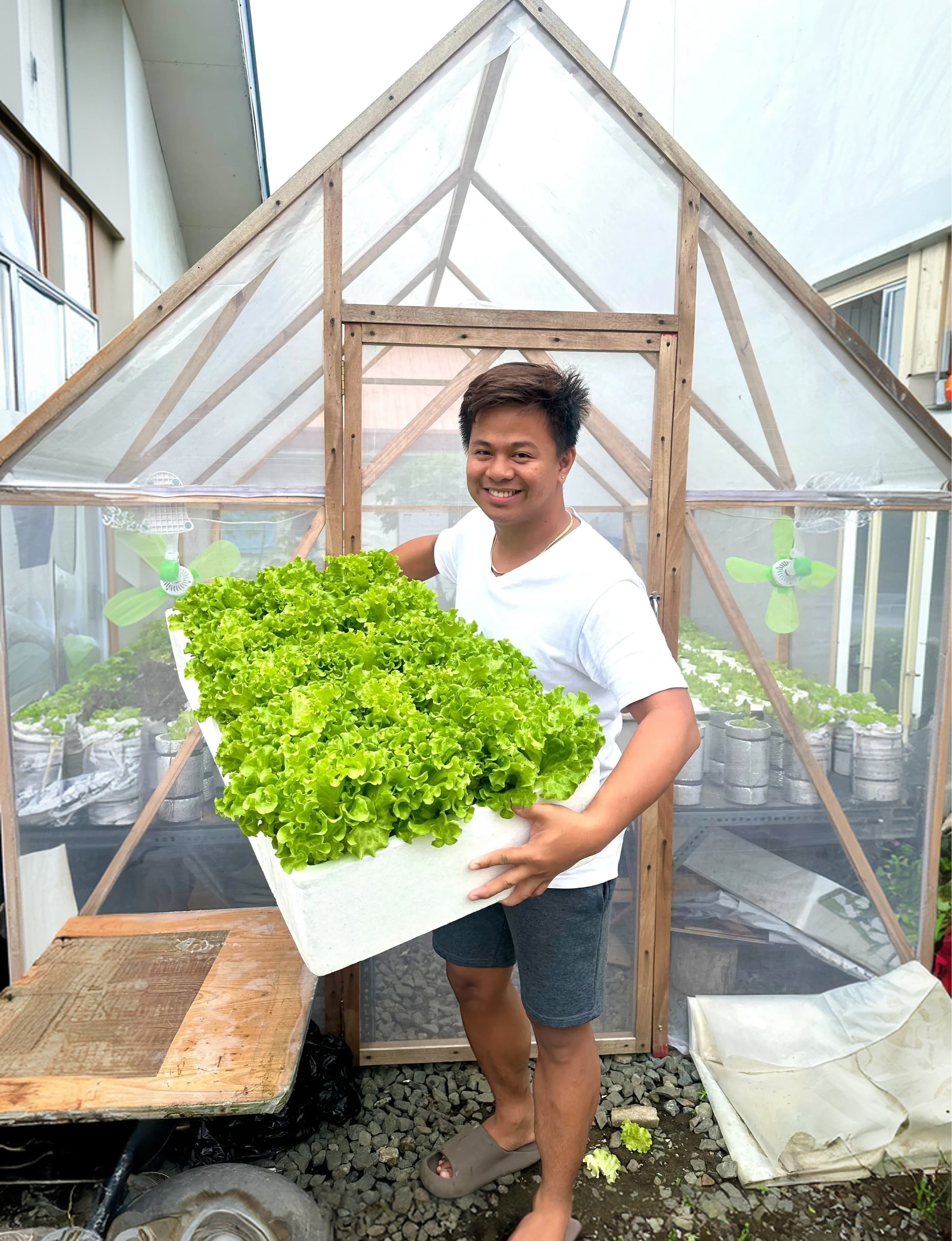 Inside the Jada's Greens hydroponic farm
